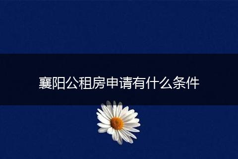 襄阳公租房申请有什么条件