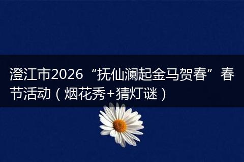 澄江市2026“抚仙澜起金马贺春”春节活动（烟花秀+猜灯谜）