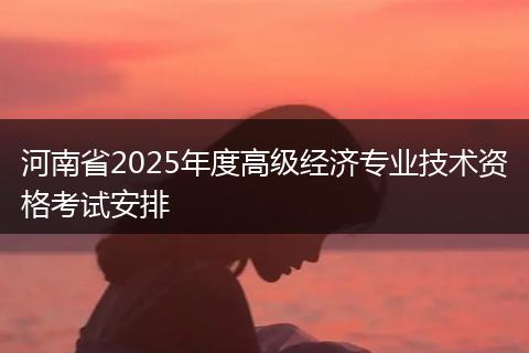 河南省2025年度高级经济专业技术资格考试安排