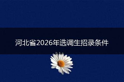 河北省2026年选调生招录条件