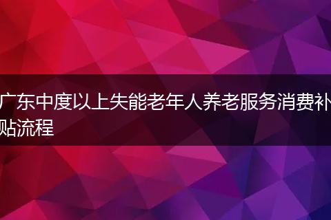 广东中度以上失能老年人养老服务消费补贴流程