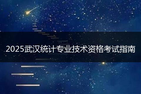 2025武汉统计专业技术资格考试指南