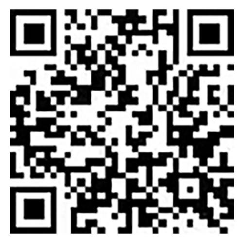 海口实验中学2026年临聘教师招聘（岗位+报名+条件）