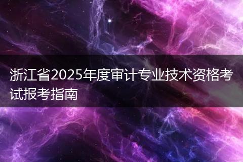 浙江省2025年度审计专业技术资格考试报考指南