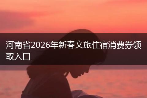 河南省2026年新春文旅住宿消费券领取入口