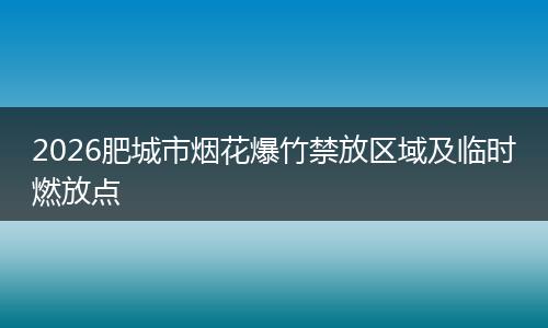 2026肥城市烟花爆竹禁放区域及临时燃放点