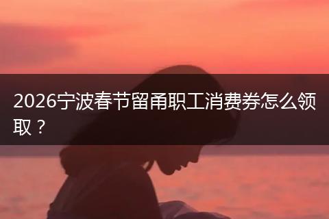 2026宁波春节留甬职工消费券怎么领取？