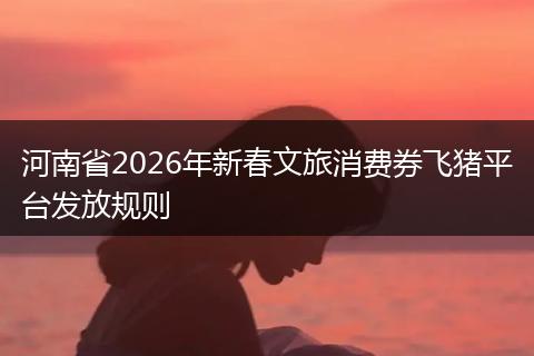 河南省2026年新春文旅消费券飞猪平台发放规则