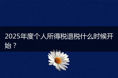 2025年度个人所得税退税什么时候开始?