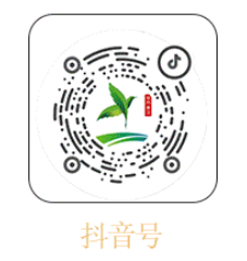 2026春节徐州潘安湖西游灯会活动时间是什么时候？