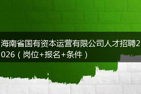 海南省国有资本运营有限公司人才招聘2026(岗位+报名+条件)