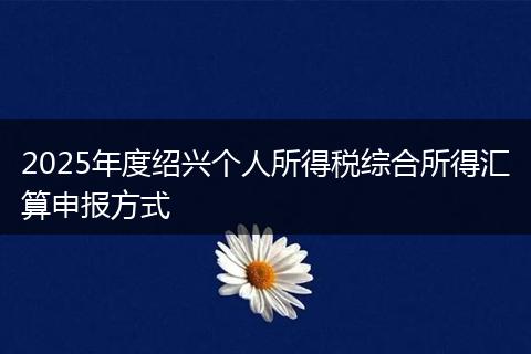 2025年度绍兴个人所得税综合所得汇算申报方式