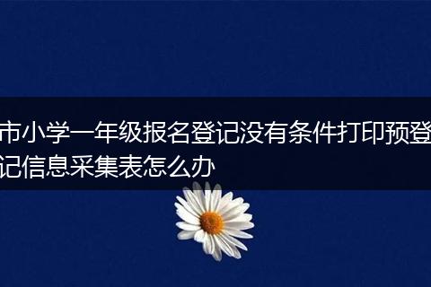 市小学一年级报名登记没有条件打印预登记信息采集表怎么办