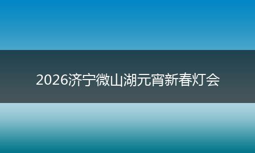 2026济宁微山湖元宵新春灯会