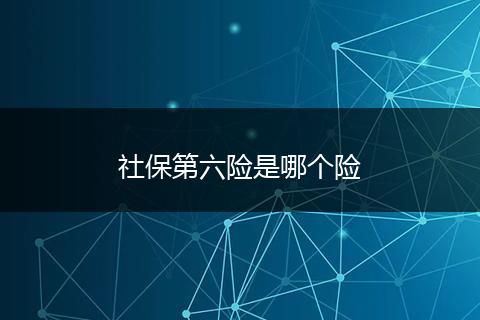 社保第六险是哪个险