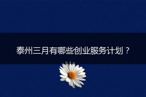 泰州三月有哪些创业服务计划？