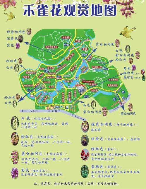 2026年广州华南植物园三八妇女节门票福利内容（优惠时间＋如何购票）