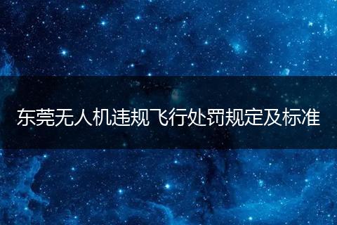 东莞无人机违规飞行处罚规定及标准