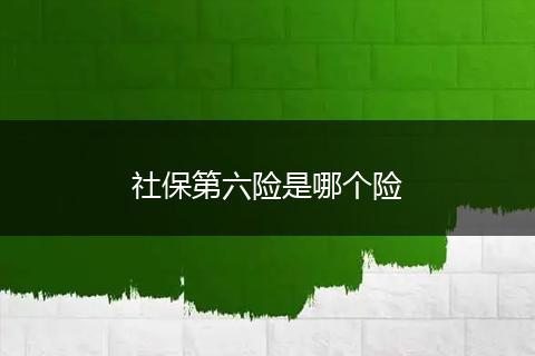 社保第六险是哪个险