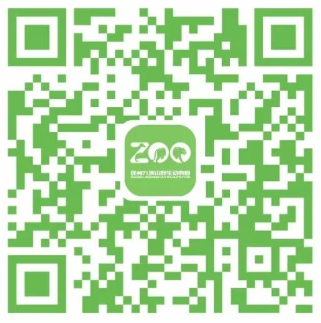 2026妇女节徐州九顶山野生动物园活动