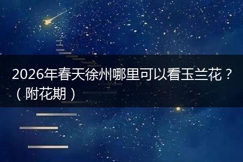 2026年春天徐州哪里可以看玉兰花？（附花期）