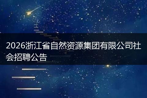 2026浙江省自然资源集团有限公司社会招聘公告