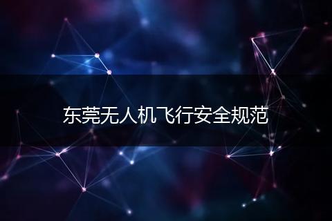 东莞无人机飞行安全规范