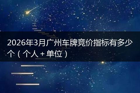 2026年3月广州车牌竞价指标有多少个（个人＋单位）