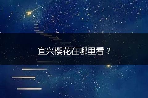 宜兴樱花在哪里看？