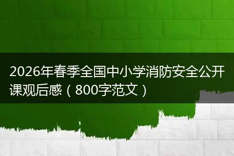 2026年春季全国中小学消防安全公开课观后感（800字范文）