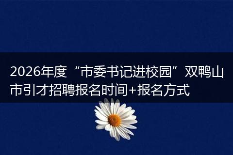 2026年度“市委书记进校园”双鸭山市引才招聘报名时间+报名方式