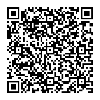 2026武汉仙人掌音乐节门票价格+购票入口+开售时间