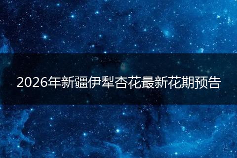 2026年新疆伊犁杏花最新花期预告