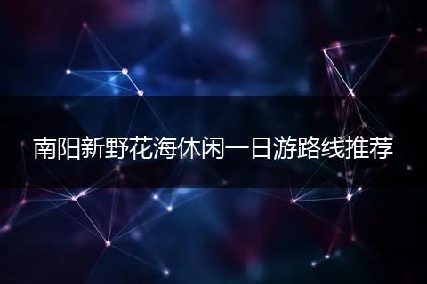 南阳新野花海休闲一日游路线推荐