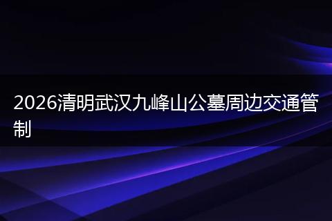 2026清明武汉九峰山公墓周边交通管制