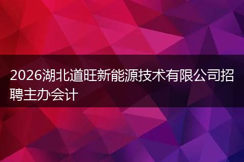 2026湖北道旺新能源技术有限公司招聘主办会计