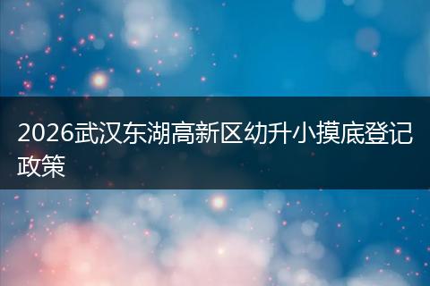 2026武汉东湖高新区幼升小摸底登记政策