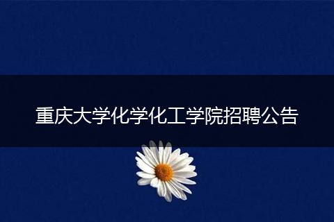 重庆大学化学化工学院招聘公告