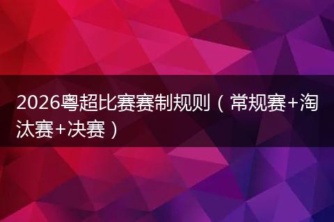 2026粤超比赛赛制规则（常规赛+淘汰赛+决赛）
