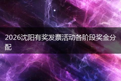 2026沈阳有奖发票活动各阶段奖金分配