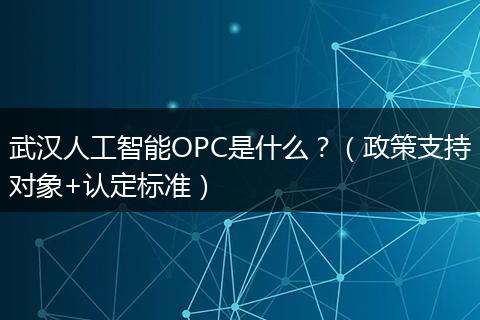 武汉人工智能OPC是什么？（政策支持对象+认定标准）