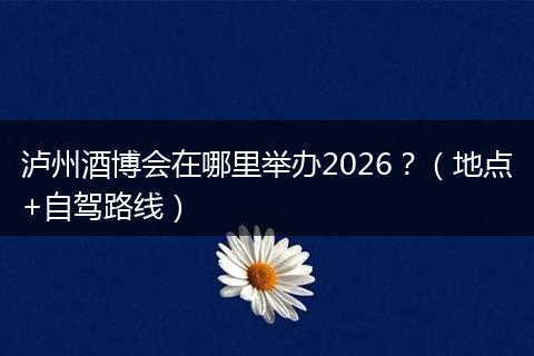 泸州酒博会在哪里举办2026?(地点+自驾路线)