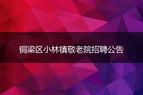 铜梁区小林镇敬老院招聘公告
