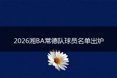 2026湘BA常德队球员名单出炉