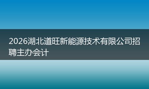 2026湖北道旺新能源技术有限公司招聘主办会计