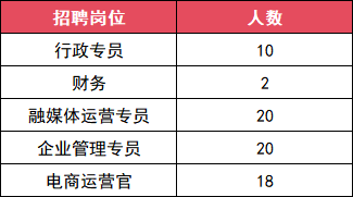 2026国胜(湖北)文化投资管理有限公司招聘70人