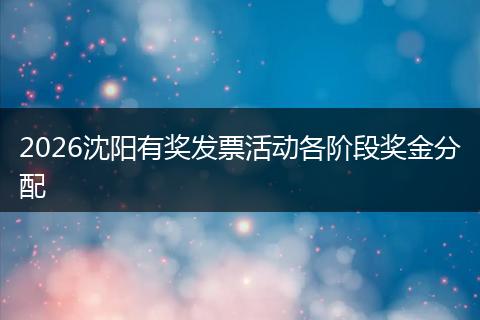 2026沈阳有奖发票活动各阶段奖金分配