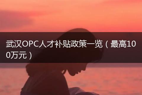 武汉OPC人才补贴政策一览（最高100万元）