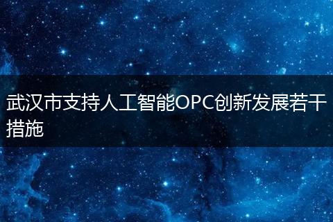 武汉市支持人工智能OPC创新发展若干措施
