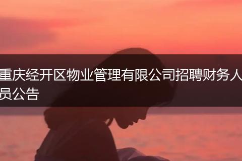 重庆经开区物业管理有限公司招聘财务人员公告